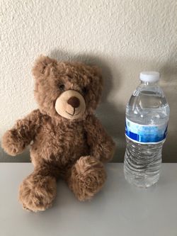 Stuffed animal teddy bear