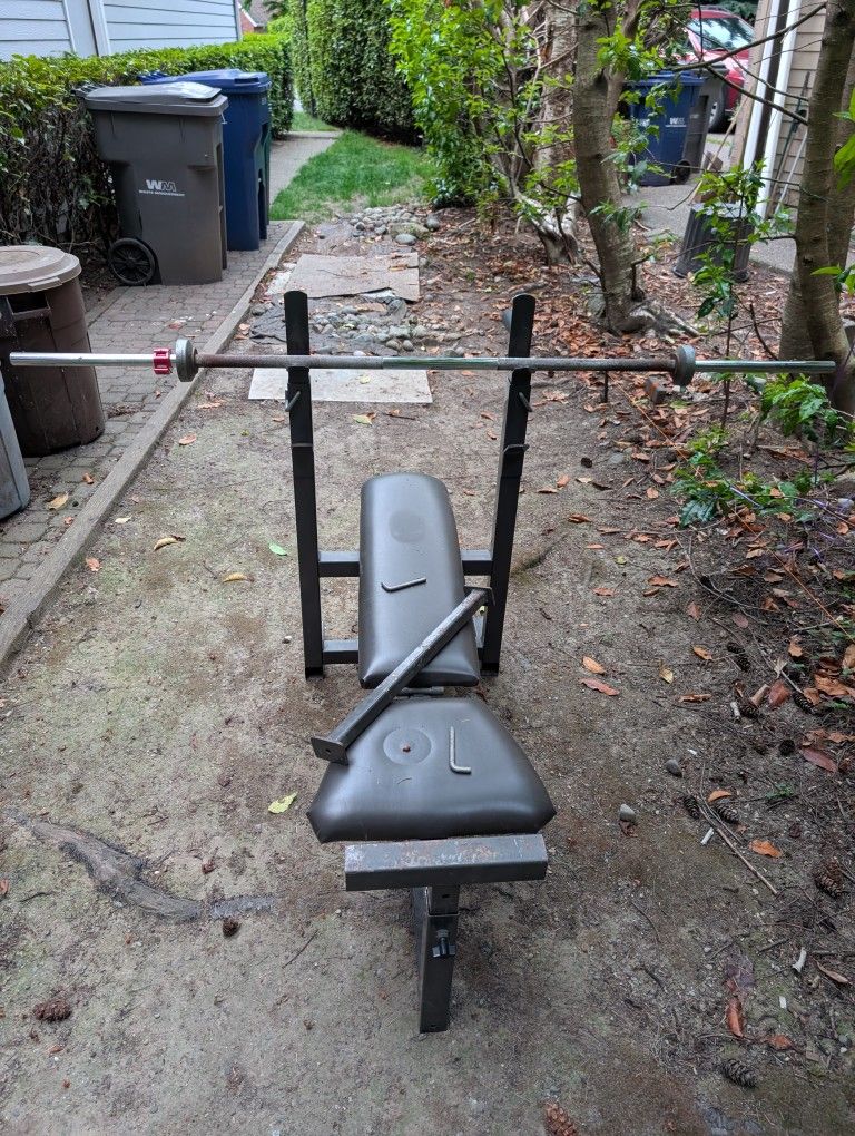 Bench Press Bench And Bar