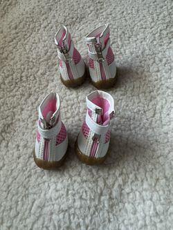 Brand New Dog Shoes