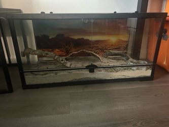 40 Gallon Glass Reptile Terrarium with Desert Setup
