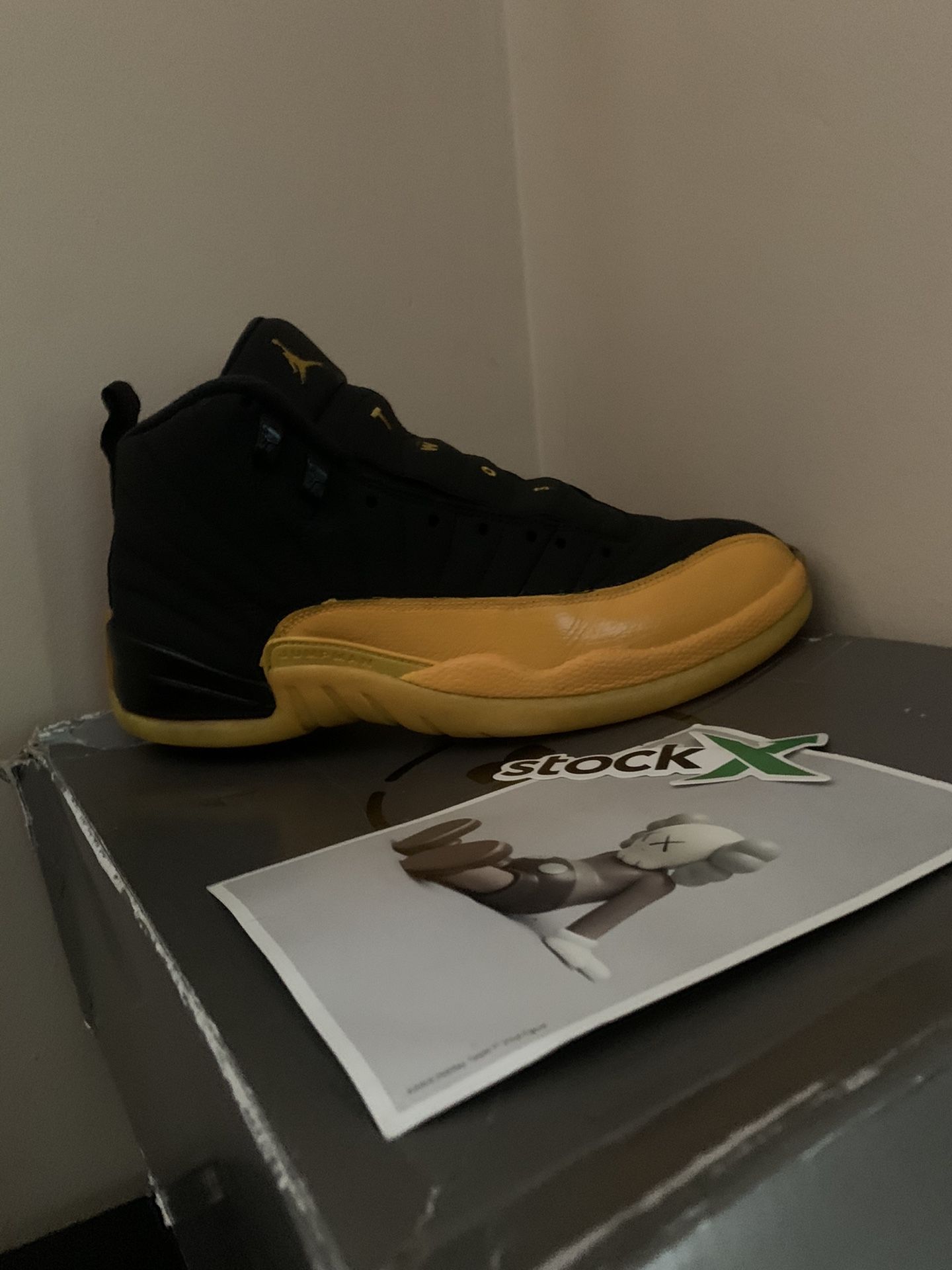Air Jordan 12