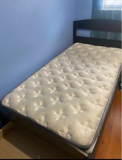 Twin sized frame + mattress