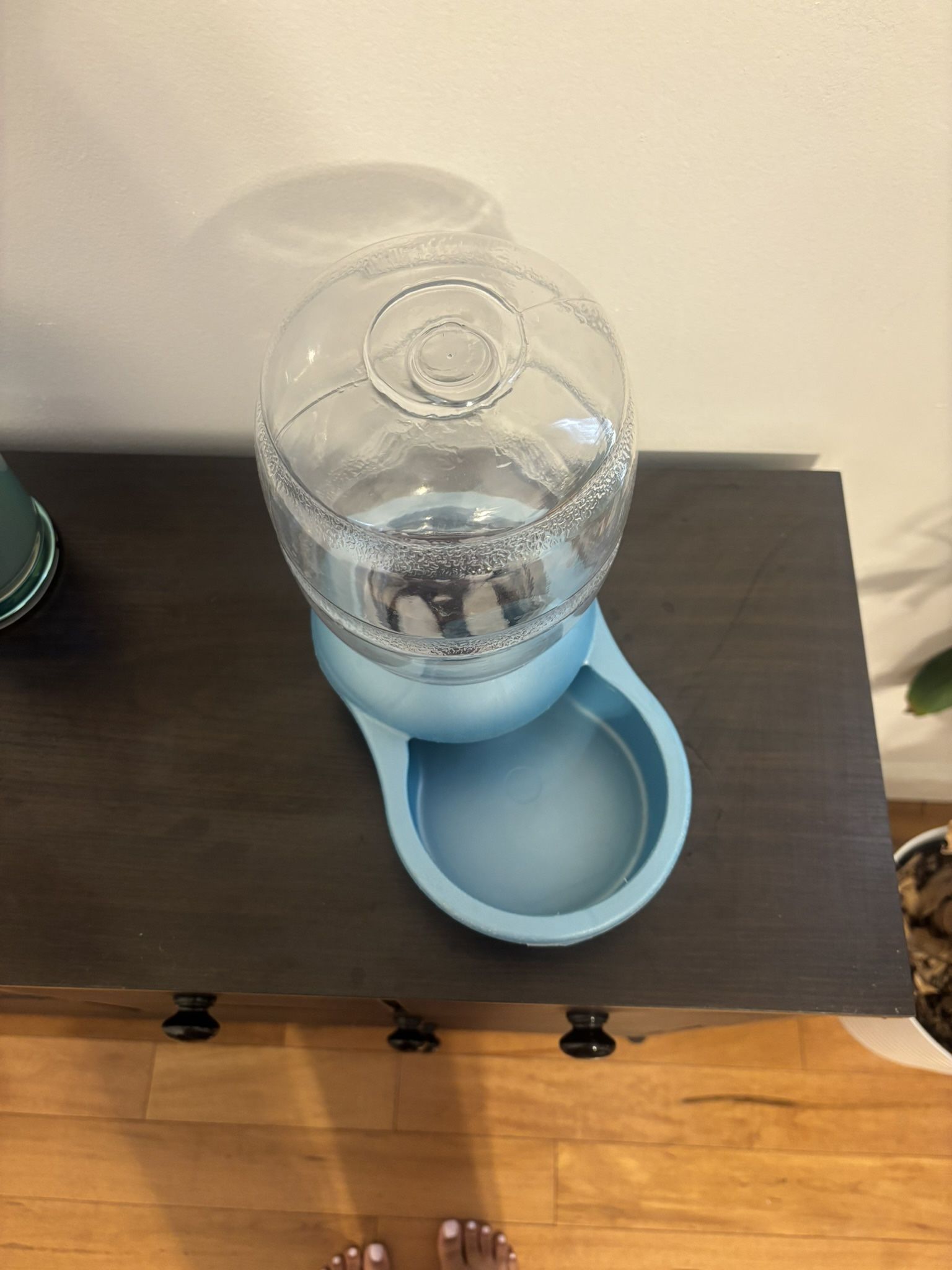 Dog/ Cat Water Filter