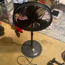 Fan 