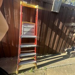 6 Ft Ladder