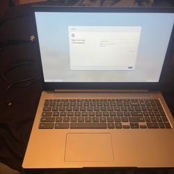 15.6 inch touch screen chromebook