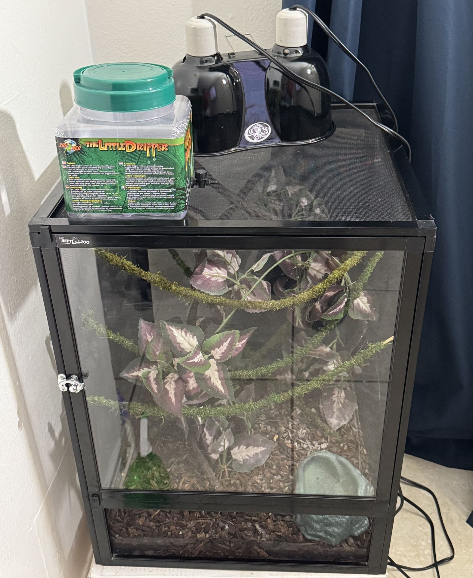 terrariums