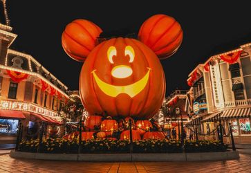 The happiest place on earth