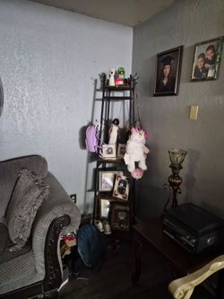2 lg shelves