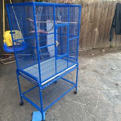 Bird Cage