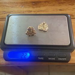10k Golden Nugget Diamond Cut