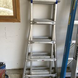 Werner M22 Multi Ladder
