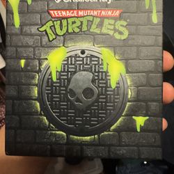 Skullcandy X TMNT Push Active Wireless Earbuds 