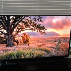 Vizio Tv  Nexflix 