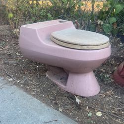 Vintage Kohler Lowboy Wild Rose Toilet 