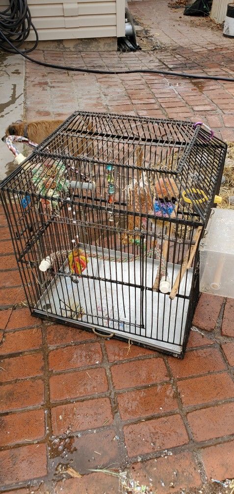 Iron Bird Cage