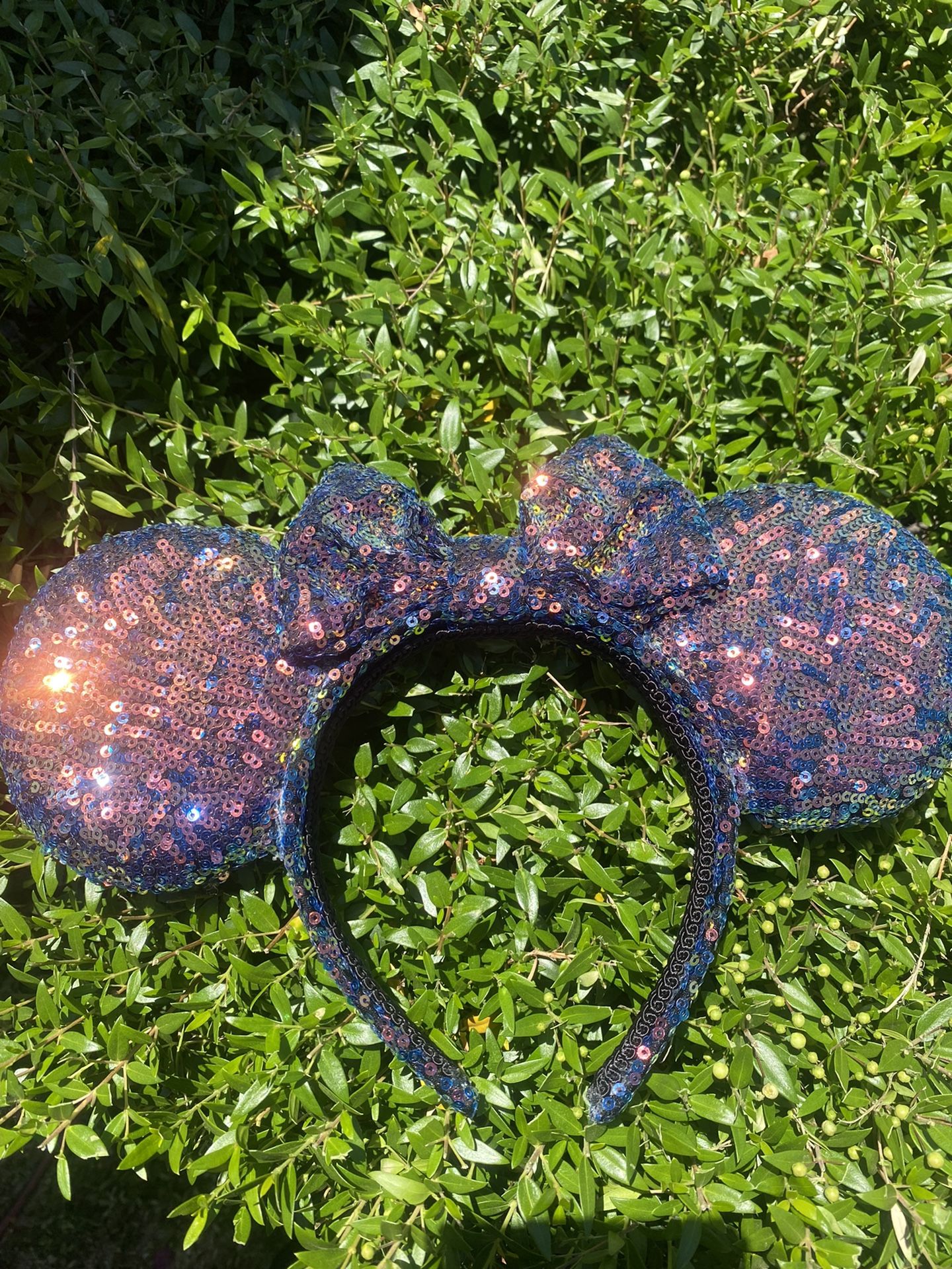 Disney Ears 