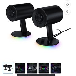 Razor Speakers 