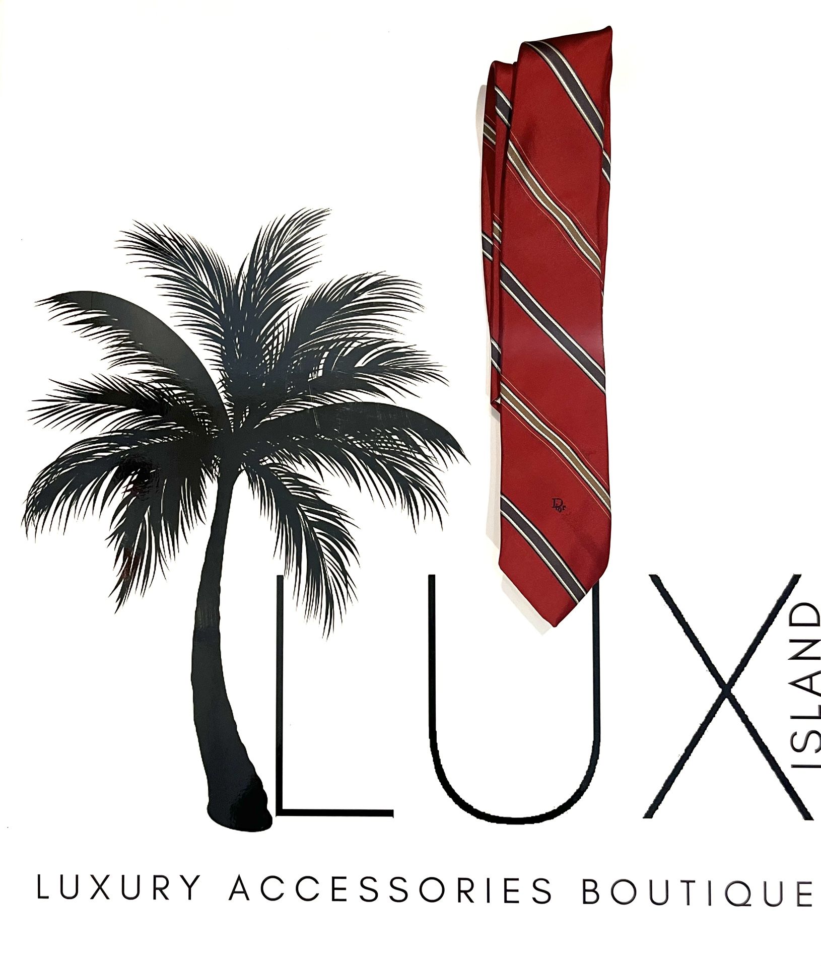 DIOR Tie