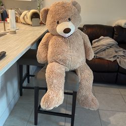 Big Teddy bear 