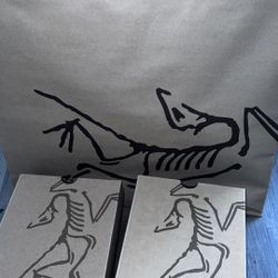 arcteryx kragg shoes size 8.5M