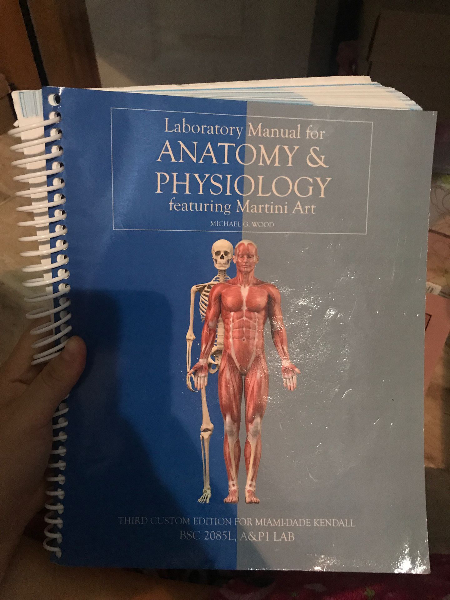 Anatomy & Physiology Michael G. Wood (BSC2085L)