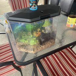Fish Tank (pesera)