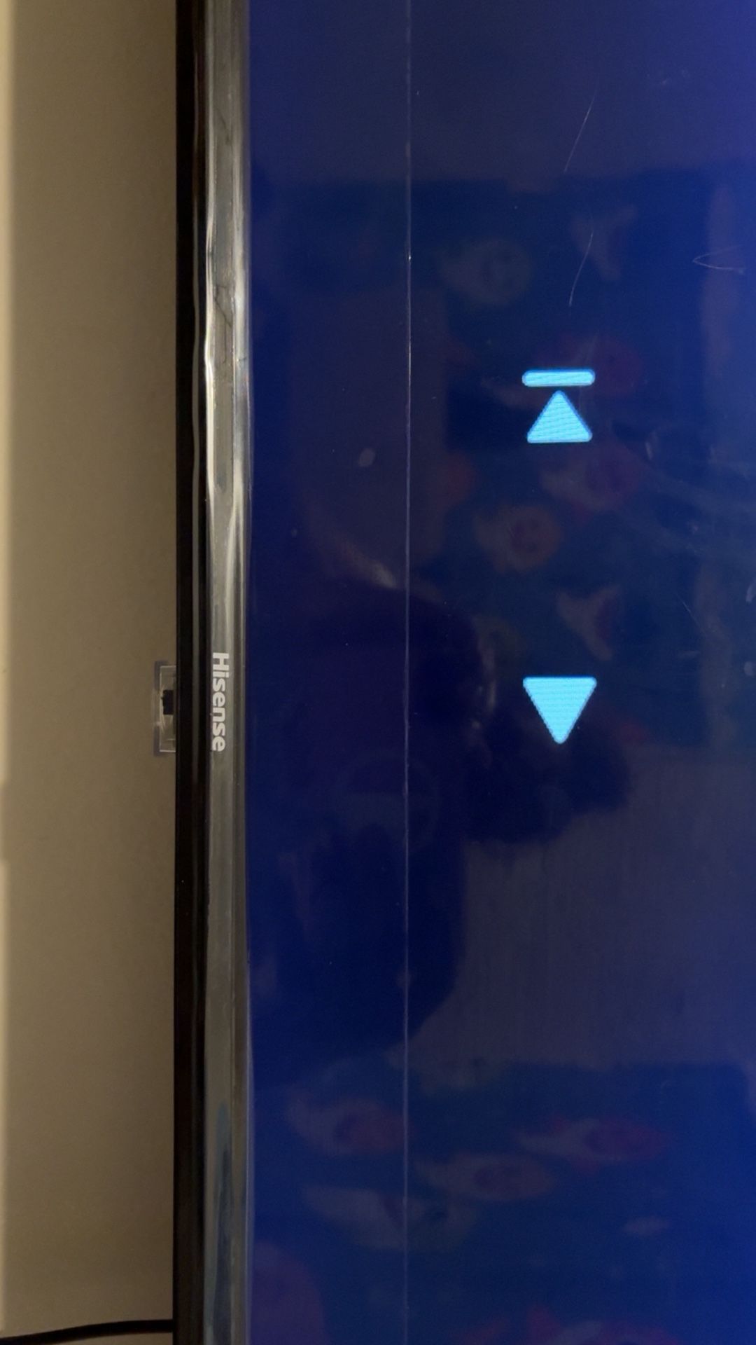Roku Smart Tv
