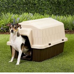Dog House 