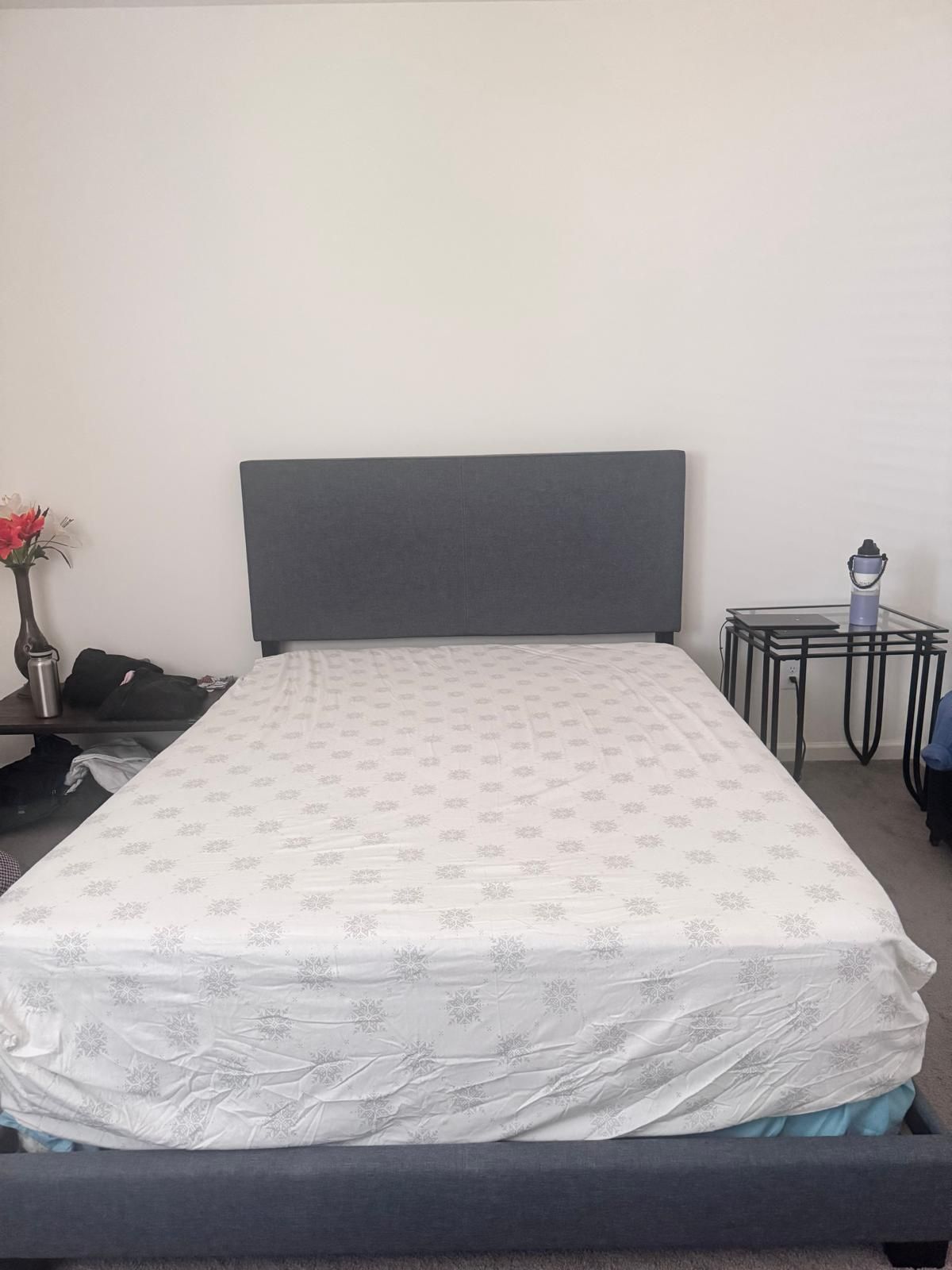 Queen Mattress Along With the Bed