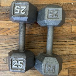 25 Pound Dumbbells