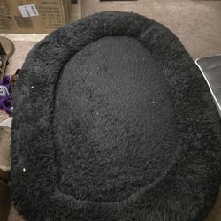 Dog Bed And Stuffys