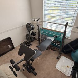 Gym and olympic weight set