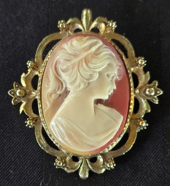 Vintage Cameo Goldtone Brooch/Pin Very Rare!