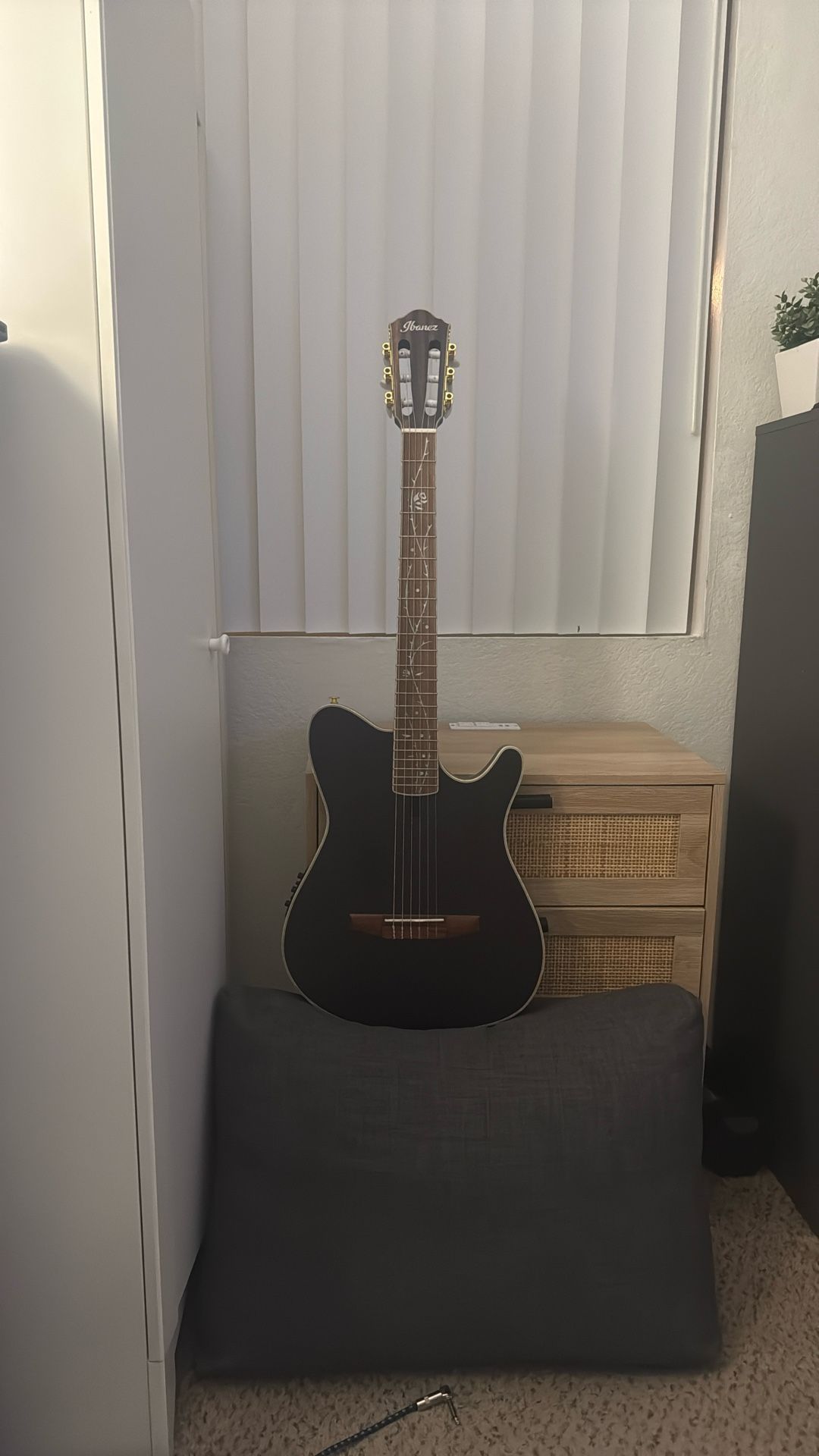 Ibanez Tod10N Tim Henson