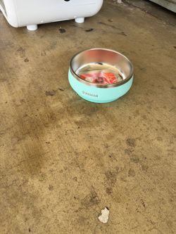 SECADORA PARA MASCOTAS PEQUEÑAS PMATO PARA COMIDA Y CASITA PARA VIAJAR