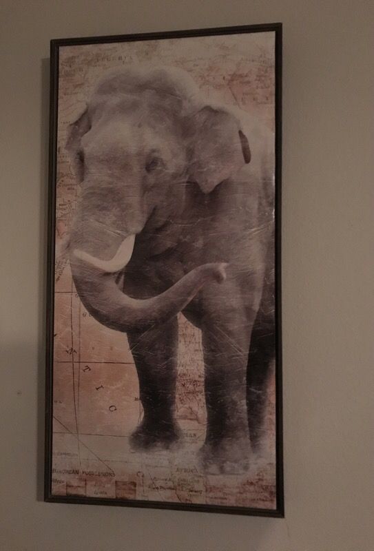 Elephant Picture Frame For In Plano Tx Offerup
