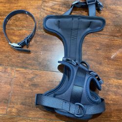 Wild One Collar And Harness