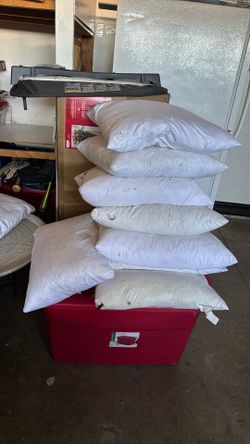 8 Goose Down Decorative Pillows