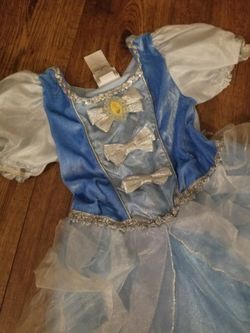 Cinderella Halloween Costume