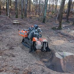 Stump Grinding 