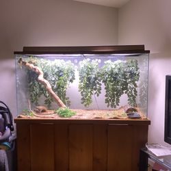 Tank And Wood Stand