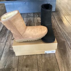 Uggs  Women’s Classic Shorts