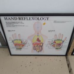 Hand &Foot Reflexology Pictures...Beautifully Framed $30.00