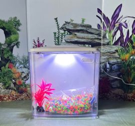 *(NEW) * Betta 1.2 Gallon Nano Tank• (Price is Firm ) • =ADDED Item Read Description