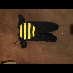 Costume 