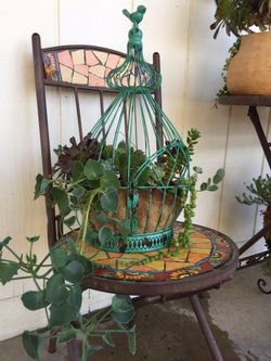 Beautiful bird cage with real succulent plants 19”h