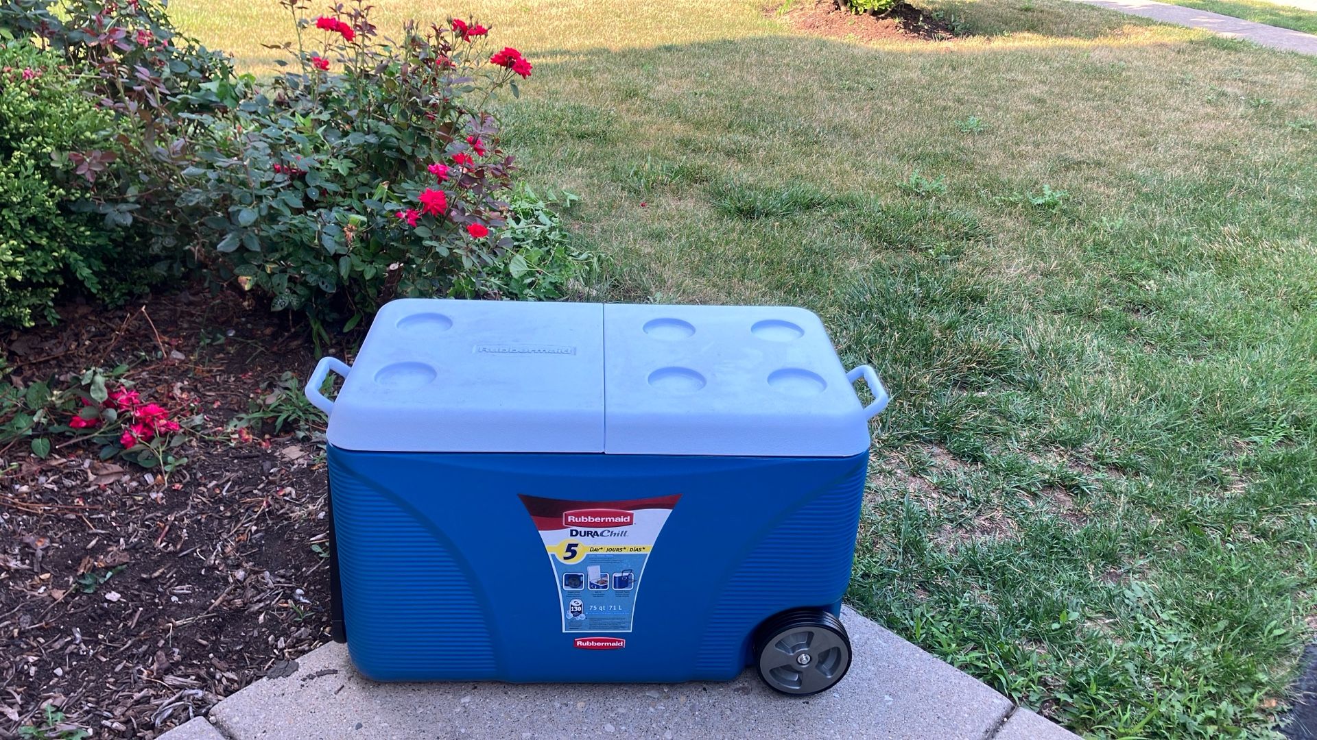 Rubbermaid Cooler🧊