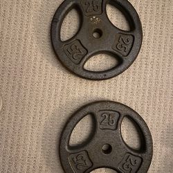 25lb Weight Plates