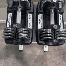 Verda Bell Adjust Dumbbells 